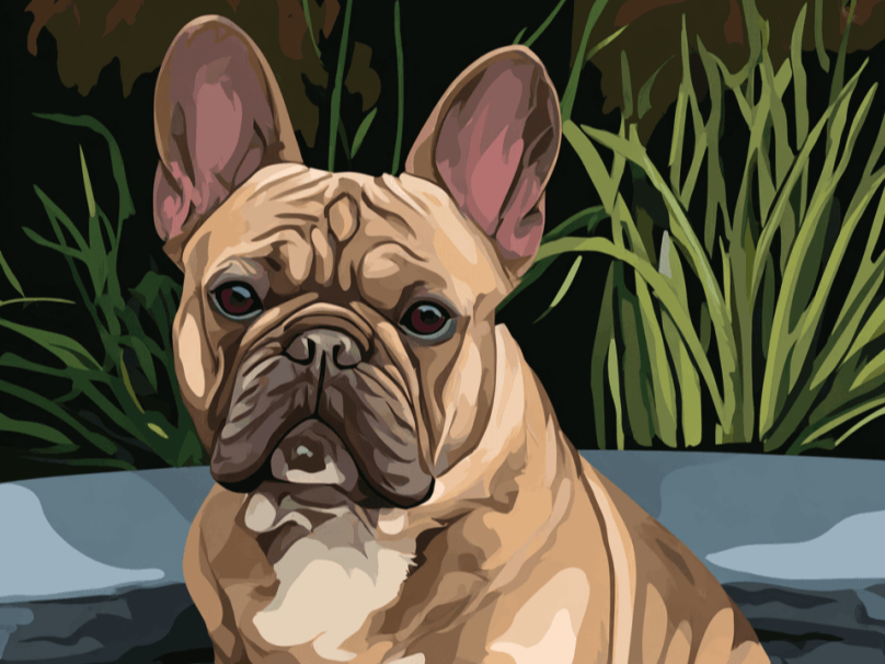 digital image of a french bulldog