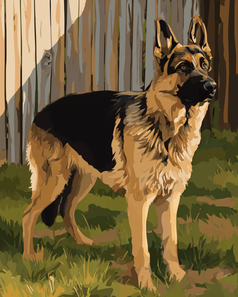 digital image of a german shephard