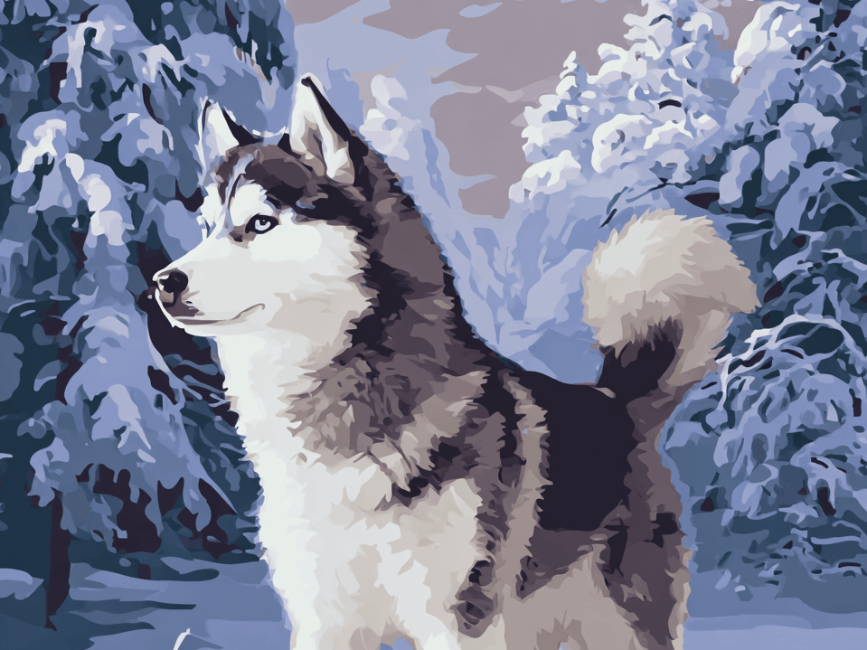 digital image of a husky